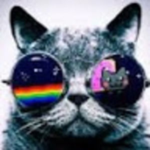 Meet your Posher, Zappy